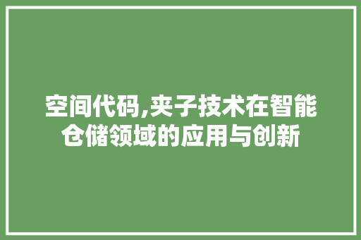 空间代码,夹子技术在智能仓储领域的应用与创新