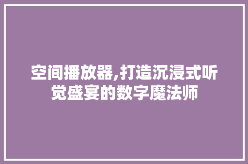 空间播放器,打造沉浸式听觉盛宴的数字魔法师