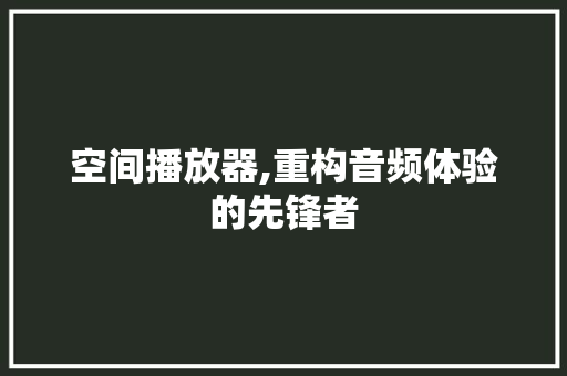 空间播放器,重构音频体验的先锋者