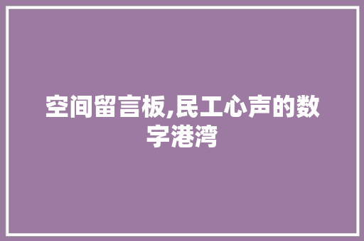 空间留言板,民工心声的数字港湾