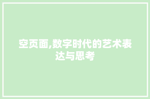 空页面,数字时代的艺术表达与思考