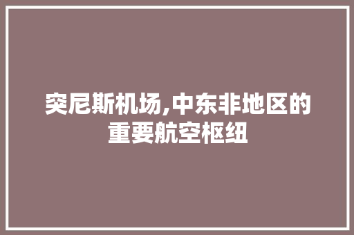 突尼斯机场,中东非地区的重要航空枢纽