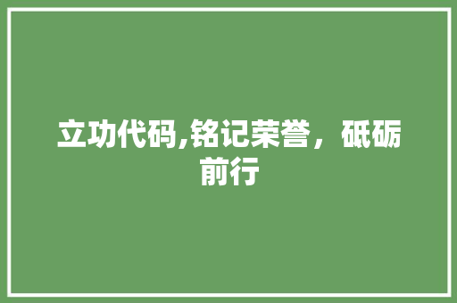 立功代码,铭记荣誉，砥砺前行