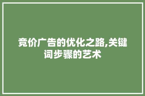 竞价广告的优化之路,关键词步骤的艺术