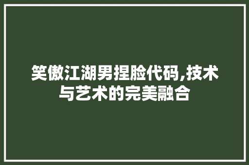 笑傲江湖男捏脸代码,技术与艺术的完美融合