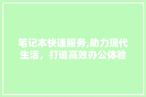 笔记本快速服务,助力现代生活，打造高效办公体验