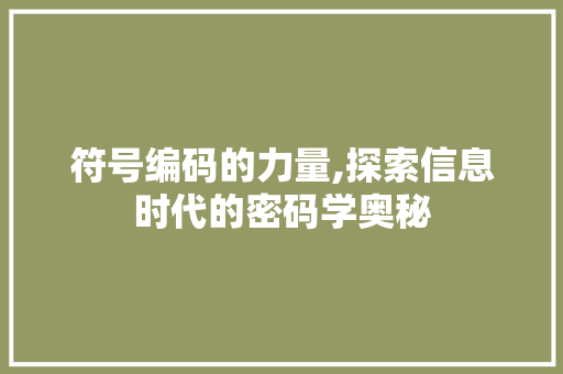 符号编码的力量,探索信息时代的密码学奥秘