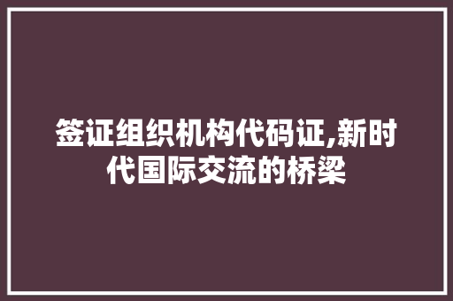 签证组织机构代码证,新时代国际交流的桥梁