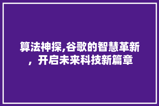 算法神探,谷歌的智慧革新，开启未来科技新篇章