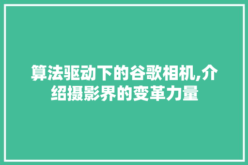 算法驱动下的谷歌相机,介绍摄影界的变革力量