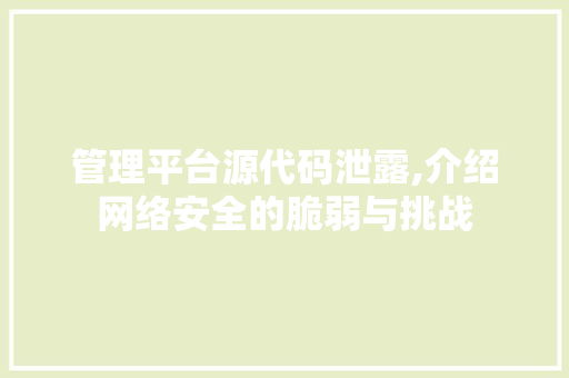 管理平台源代码泄露,介绍网络安全的脆弱与挑战