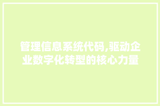 管理信息系统代码,驱动企业数字化转型的核心力量