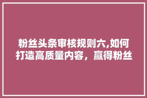 粉丝头条审核规则六,如何打造高质量内容，赢得粉丝的青睐