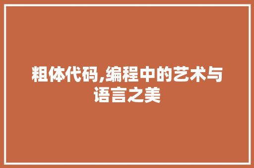 粗体代码,编程中的艺术与语言之美