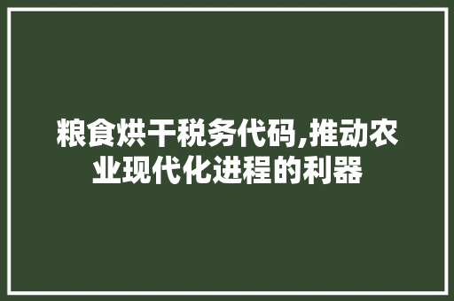 粮食烘干税务代码,推动农业现代化进程的利器