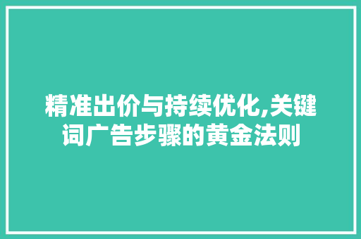 精准出价与持续优化,关键词广告步骤的黄金法则