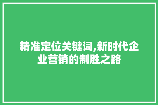 精准定位关键词,新时代企业营销的制胜之路