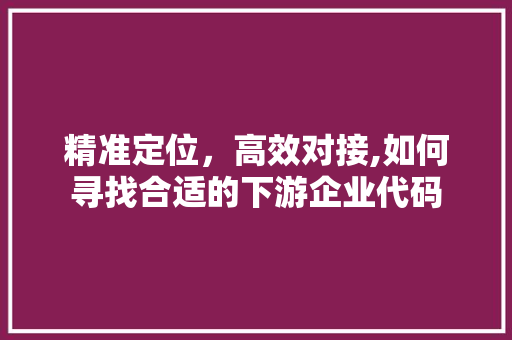 精准定位，高效对接,如何寻找合适的下游企业代码