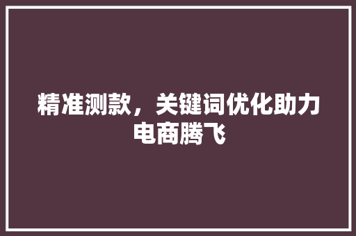 精准测款，关键词优化助力电商腾飞