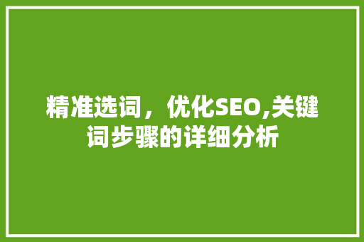 精准选词，优化SEO,关键词步骤的详细分析