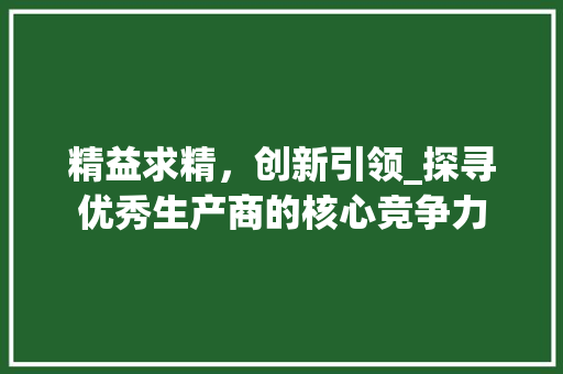 精益求精，创新引领_探寻优秀生产商的核心竞争力