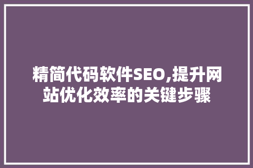 精简代码软件SEO,提升网站优化效率的关键步骤