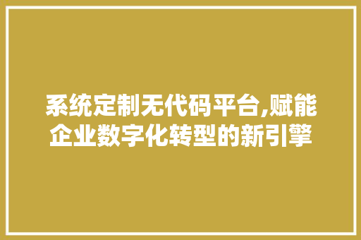 系统定制无代码平台,赋能企业数字化转型的新引擎