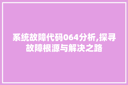 系统故障代码064分析,探寻故障根源与解决之路