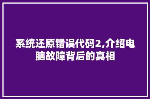 系统还原错误代码2,介绍电脑故障背后的真相