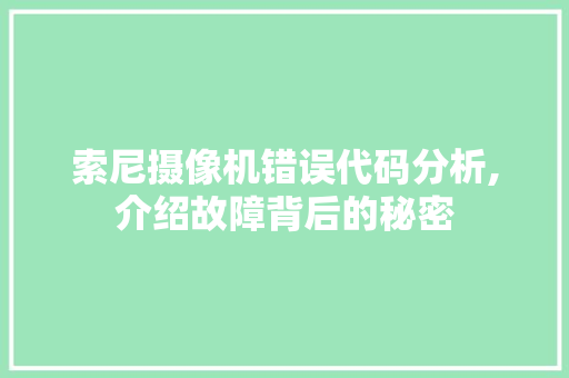 索尼摄像机错误代码分析,介绍故障背后的秘密