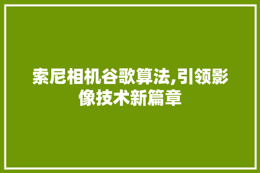 索尼相机谷歌算法,引领影像技术新篇章