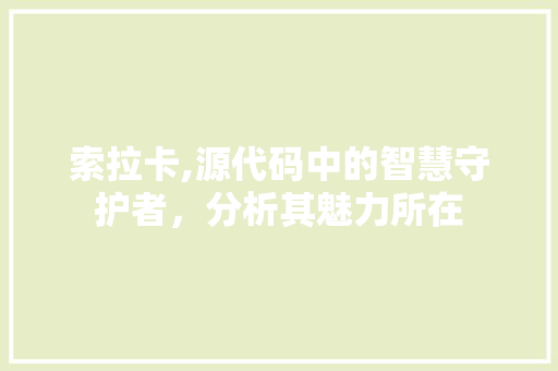 索拉卡,源代码中的智慧守护者，分析其魅力所在