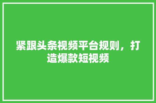 紧跟头条视频平台规则，打造爆款短视频