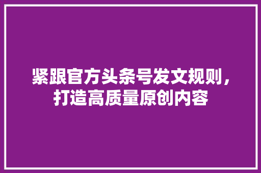 紧跟官方头条号发文规则，打造高质量原创内容