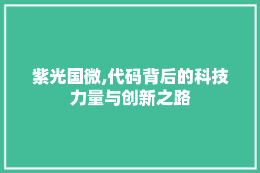 紫光国微,代码背后的科技力量与创新之路