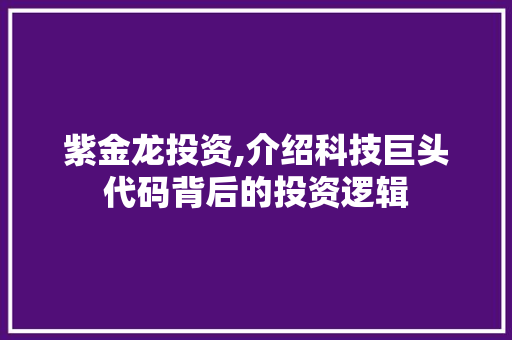 紫金龙投资,介绍科技巨头代码背后的投资逻辑