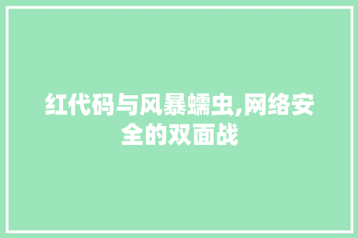 红代码与风暴蠕虫,网络安全的双面战