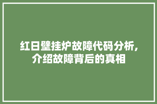 红日壁挂炉故障代码分析,介绍故障背后的真相