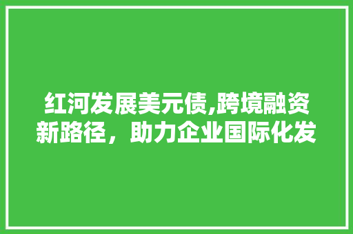 红河发展美元债,跨境融资新路径，助力企业国际化发展