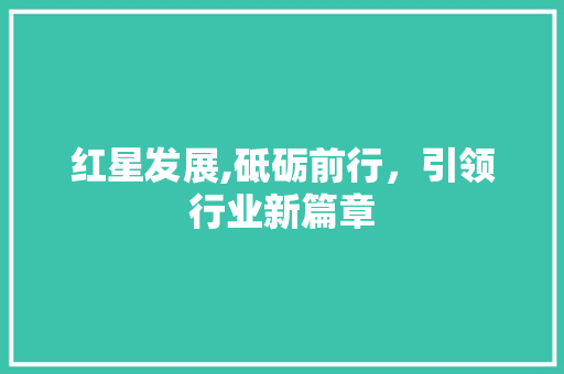 红星发展,砥砺前行，引领行业新篇章