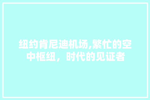 纽约肯尼迪机场,繁忙的空中枢纽，时代的见证者