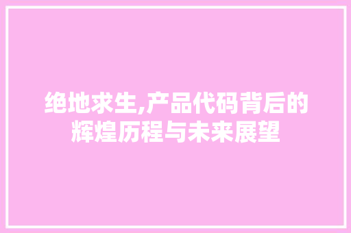 绝地求生,产品代码背后的辉煌历程与未来展望