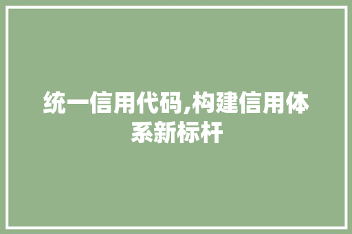 统一信用代码,构建信用体系新标杆