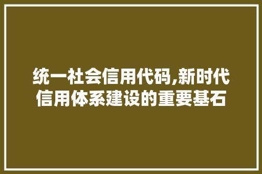 统一社会信用代码,新时代信用体系建设的重要基石