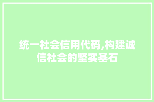 统一社会信用代码,构建诚信社会的坚实基石