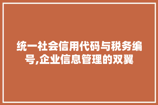 统一社会信用代码与税务编号,企业信息管理的双翼