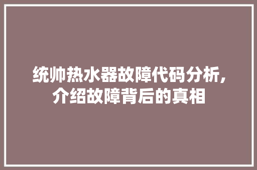 统帅热水器故障代码分析,介绍故障背后的真相