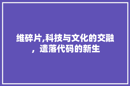 维碎片,科技与文化的交融，遗落代码的新生