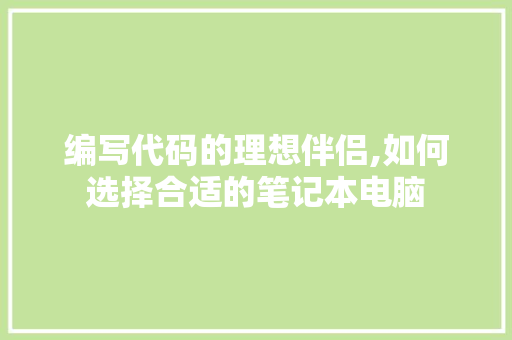 编写代码的理想伴侣,如何选择合适的笔记本电脑