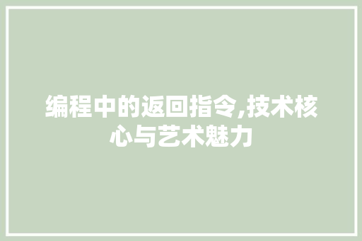 编程中的返回指令,技术核心与艺术魅力